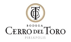 Logo Cerro del Toro