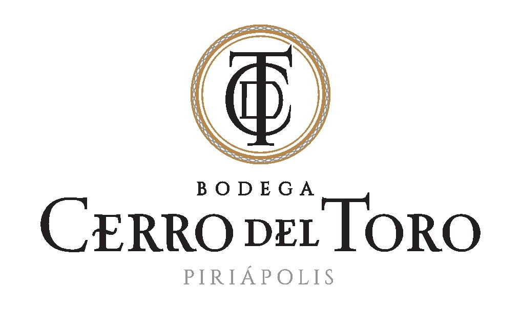 Cerro del Toro